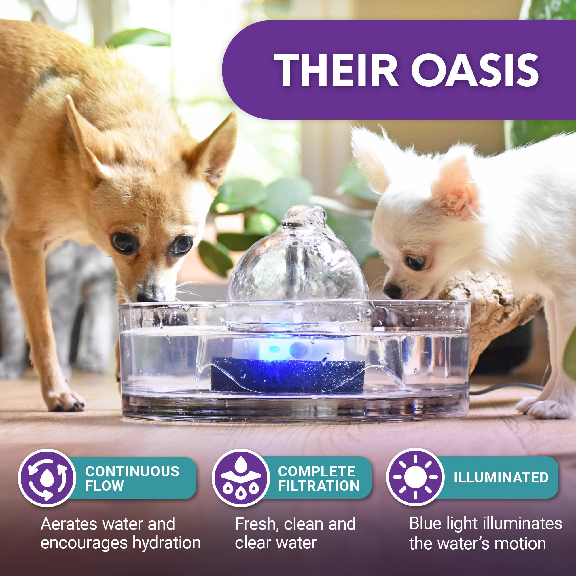Brook Glass Pet Fountain (90Oz/2.7L) - Cat Water Fountain & Small Dog Drinking Fountain - Automatic Water Dispenser Cat Fountain